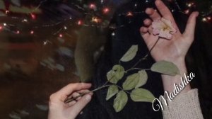 Ма Делха Дог, Дахар Ирсе Ца Хиларна 😭💣 Хава Сатабаева 2018😍💣