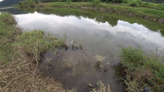 Рыбалка с рогаткой смотреть онлайн