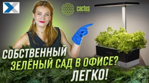 Гидропонные системы Cactus - умное озеленение вашего офиса и дома