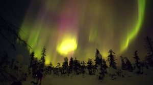 Опытные следопыты за полярным кругом )