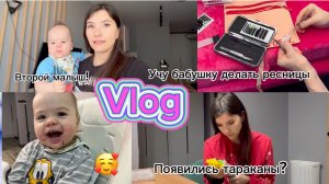 VLOG: ВТОРОЙ РЕБЕНОК//У НАС ПОЯВИЛИСЬ ВРЕДИТЕЛИ В НОВОМ ДОМЕ