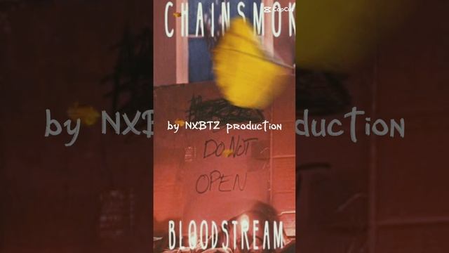 NXBTZ prod. X The Chainsmokers - Bloodstream ( acoustic version ) #nxbtz #theChainsmokers