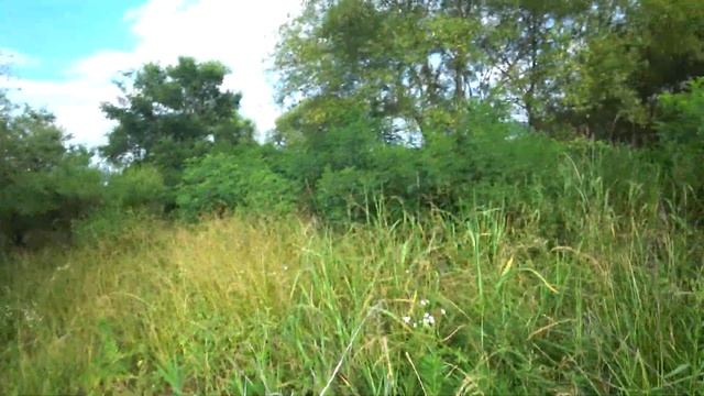 Уже ждете лето?)из архива,Охота с рогатки смотреть онлайн