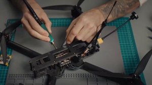 Мы здесь все свои