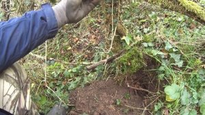 Поисках монет в труднодоступных местах