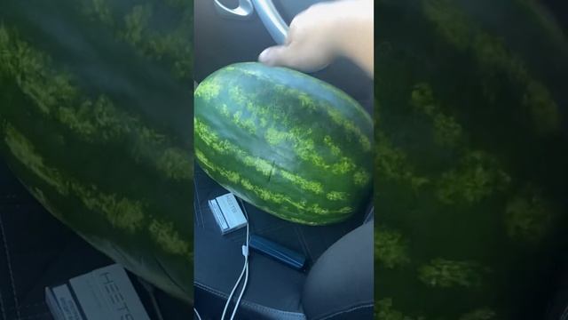 Я хочу на природу #shorts смотреть онлайн