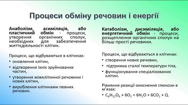 Біологія людини. Обмін речовин та перетворення енергії в організмі людини