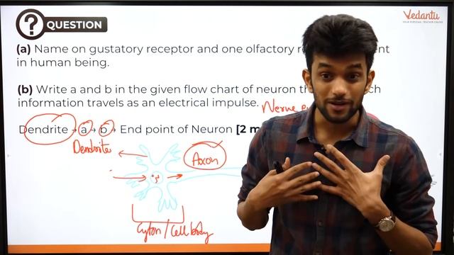 Biology 2018 Board Paper Solution - F1 Progeny | Neuron Diagram | Hormone Secretion | Reproduction