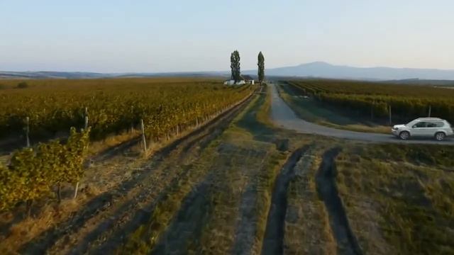 Обзор Курганских автоприцепов Атлет смотреть онлайн