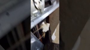 разбор посудомойки. неисправности.