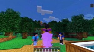 Granting Wishes as a MAGICAL GENIE In Minecraft!
