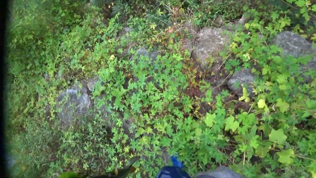 рыбалка с рогаткой смотреть онлайн