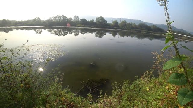 осенний выход на охоту смотреть онлайн