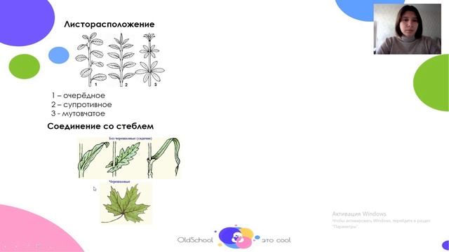 ЕГЭ Биология, Строение органов растений