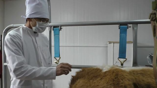 Эпидуральная анестезия