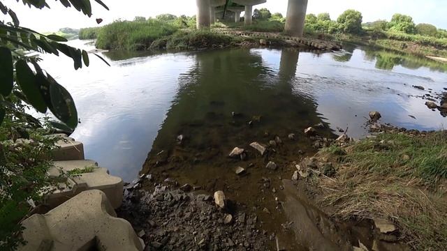 экспресс охота на сазана смотреть онлайн