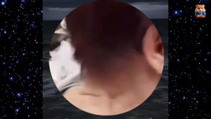 FunnY - угарные моменты🤣