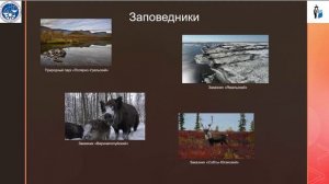 Флора и заповедные зоны Ямало Ненецкого округа