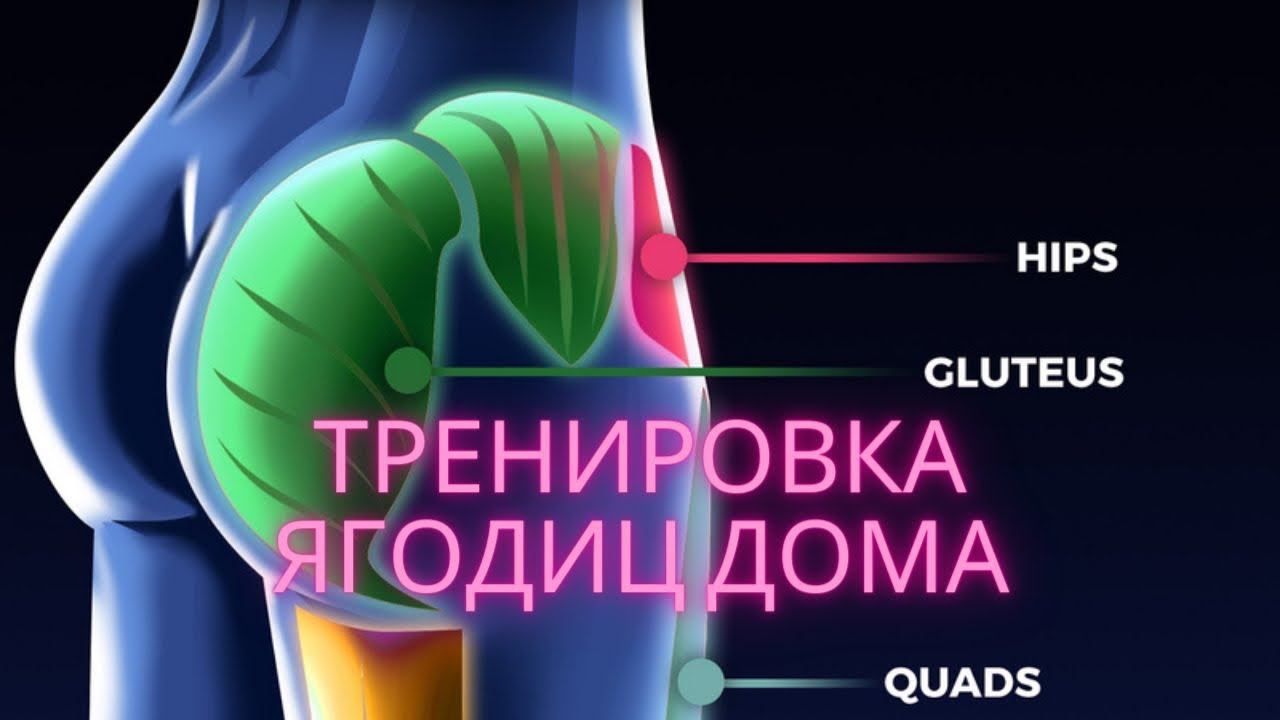 Тренировка ягодиц в домашних условиях | активация ягодиц