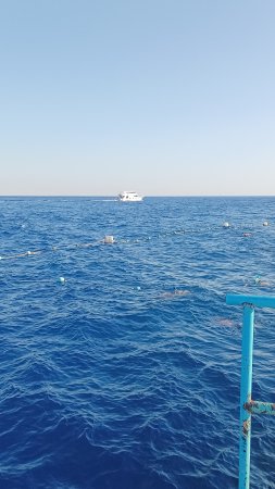 Красное море в Шарм эль шейх
