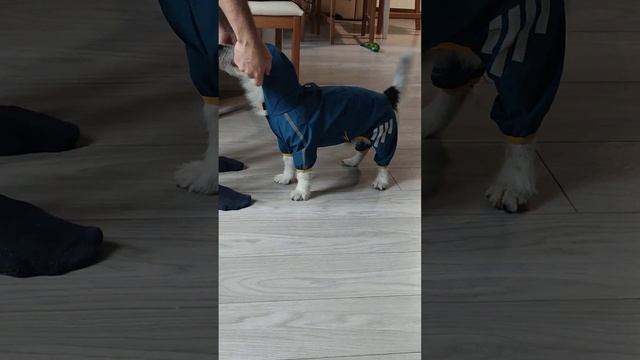 К БИЛЛИ ГОТОВ. смотреть онлайн