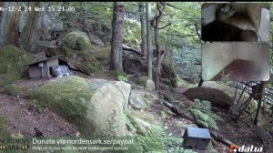 Вернулись с прогулки