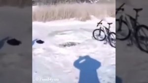 Купания зимой нырнул