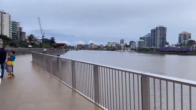 Walk for Wellness | New Farm River Walk in Brisbane смотреть онлайн