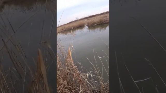 28 декабря 2022 г. смотреть онлайн