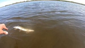 5 ОШИБОК при ЛОВЛЕ НА ДЖИГ которые не дают ЛОВИТЬ ВСЕГДА!