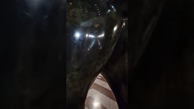 что это такое?