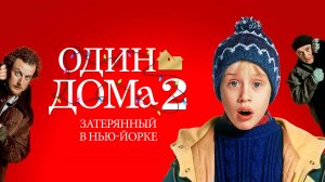 Один дома 2: Затерянный в Нью-Йорке | Home Alone 2: Lost in New York (1992)