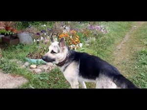 Гуляю по Корчемкино  Поселочку с очистными сооружениями  Российская глубинка