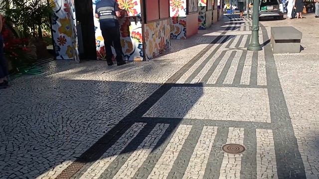 FESTA da FLOR 2 de maio de 2024 4 смотреть онлайн