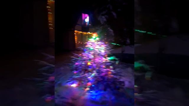 #влесуродиласьелочка