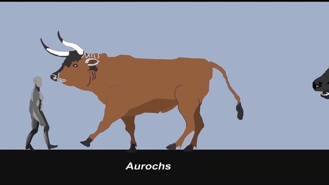 The size of CENOZOIC BEASTS | #SizeComparison | Animated size comparison in 2023