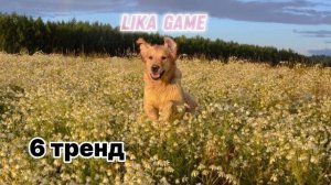 Танцуй если знаешь этот тренд 2024!❤️