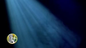 Сергей Матвеенко - авторский концерт