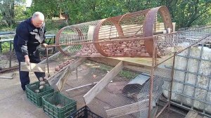 Сортировка картофеля. Мечта огородника