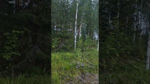 Отсутствующая Структура. Найди свое *Я Есмь*