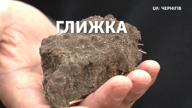 Рубрика «Чернігівські діалектизми». Що означає слово «глижка». Ранок (16.03.20)