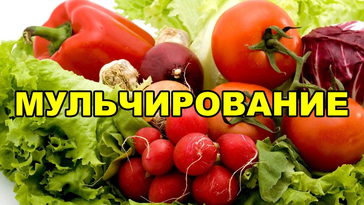 Природное земледелие. Мульчирование
