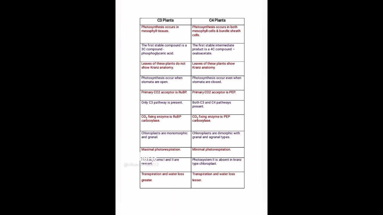 Difference between C3 & C4 Plants