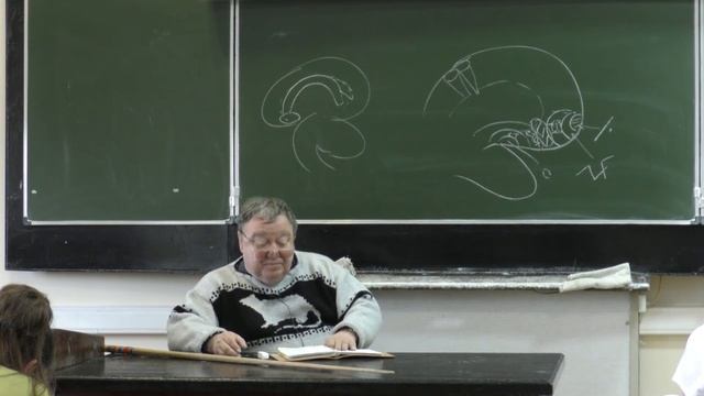 Каменский А. А. - Физиология человека и животных - 12. Лимбическая система. Кора больших полушарий