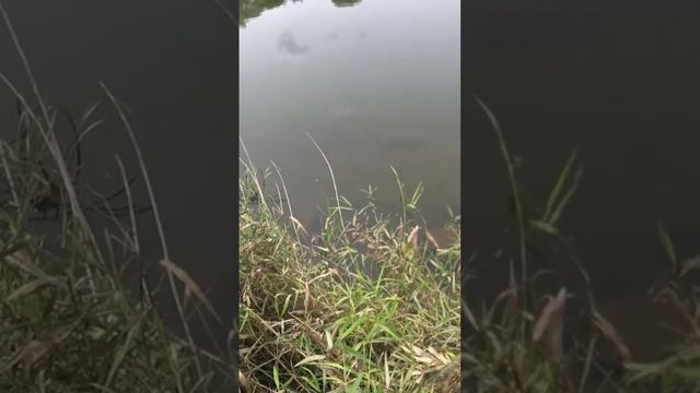 21 сентября 2022 г. смотреть онлайн