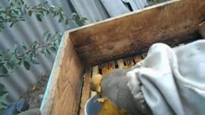 Опрыскивание  пчел от вааратоза. 13.10.17.