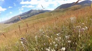 Перевал #ДОЛОН 3030 м. красотище