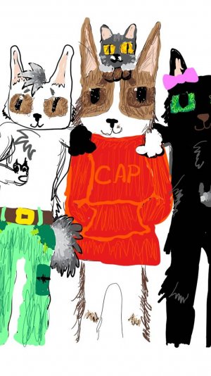 видео для канала