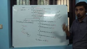 Jb- glycolysis