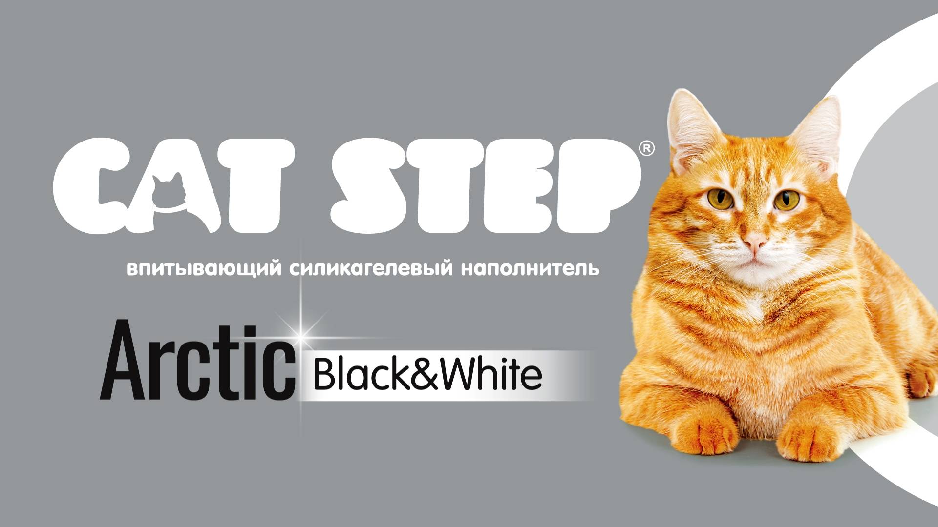 Наполнитель впитывающий силикагелевый CAT STEP Arctic Black&White